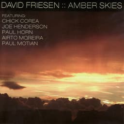 Amber Skies - David Friesen