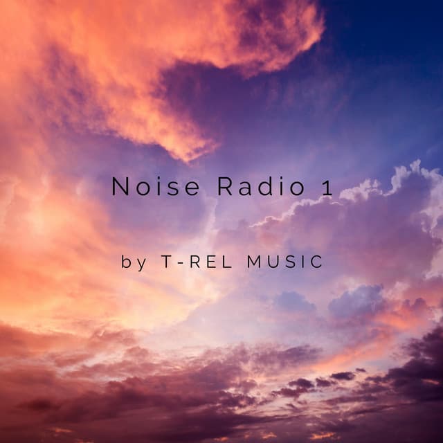Noise Radio 1