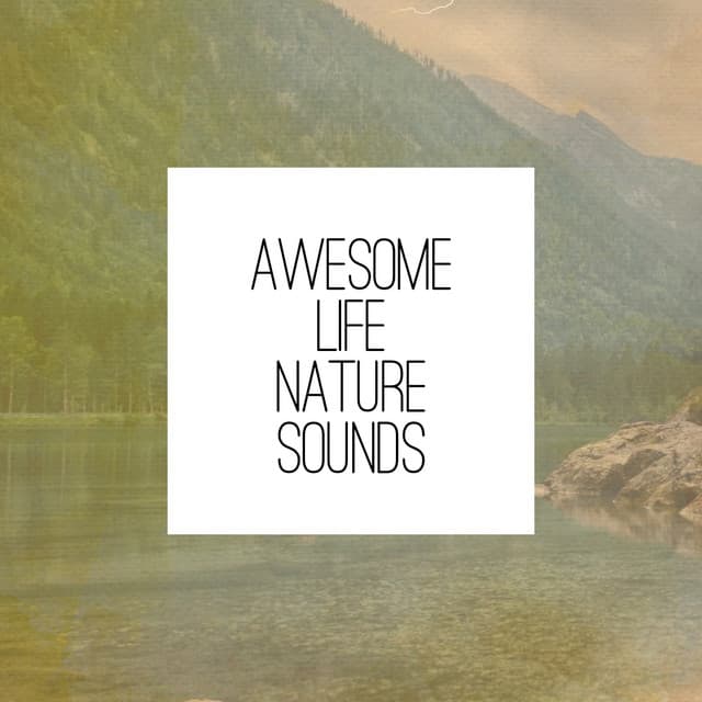 Awesome Life Nature Sounds