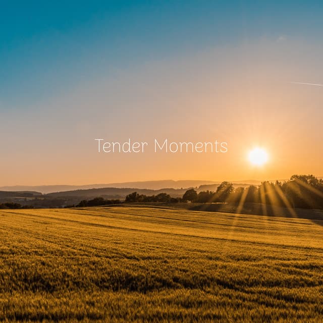 Tender Moments