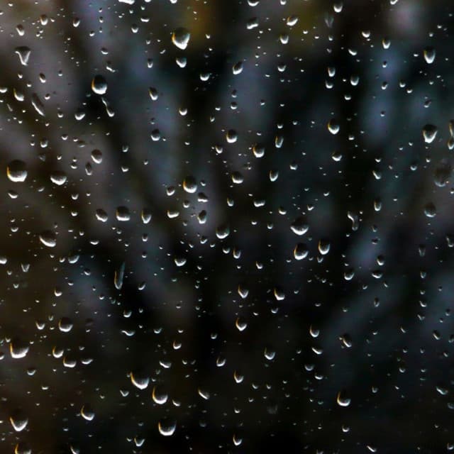 Relajación Natural Maestro