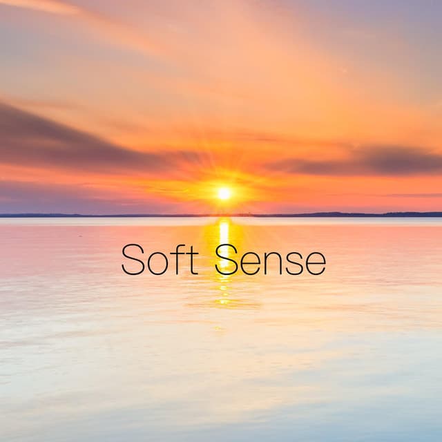 Soft Sense