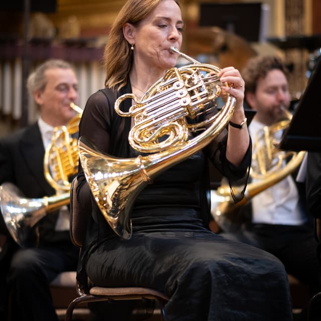 The Philharmonic Brass