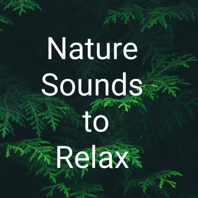 Nature Sounds to Relax
