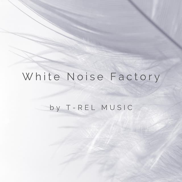 White Noise Factory