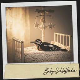 Baby-Schlaflieder: Ruhige Klänge - Música Relajante Para Leer