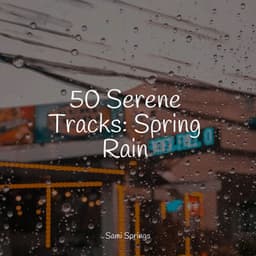 50 Serene Tracks: Spring Rain - Yoga Para Ninos