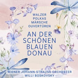 An der schönen blauen Donau - Walzer, Polkas, Märsche, Ouvertüren - Wiener Johann Strauss Orchester
