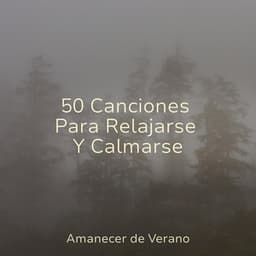 50 Canciones Para Relajarse Y Calmarse - Massage Therapy Music