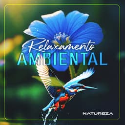 Relaxamento Ambiental - Natureza