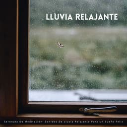 Serenata De Meditación: Sonidos De Lluvia Relajante Para Un Sueño Feliz - Relajación Lluvia Meditación