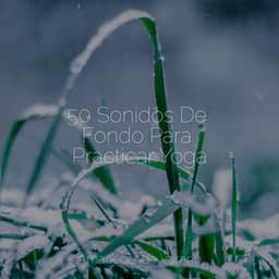 50 Sonidos De Fondo Para Practicar Yoga - Chakra Balancing Sound Therapy