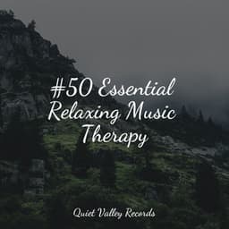 #50 Essential Relaxing Music Therapy - Fresh Water Sounds For Inner Peace