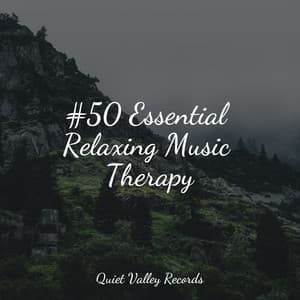 #50 Essential Relaxing Music Therapy - Fresh Water Sounds For Inner Peace