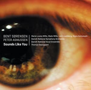 Bent Sørensen: Sounds Like You - Bent Sørensen