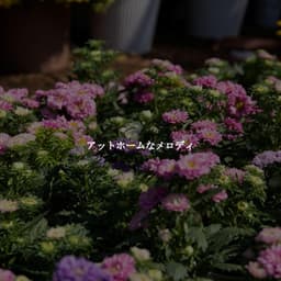 アットホームなメロディ - Jazz Lounge Bar Relaxing