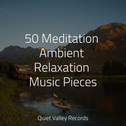 50 Meditation Ambient Relaxation Music Pieces - Namaste Yoga
