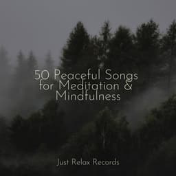 50 Peaceful Songs for Meditation & Mindfulness - Drowsy Cloud