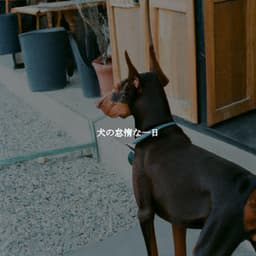 犬の怠惰な一日 - Música Lounge Relax para Cafés