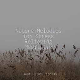 Nature Melodies for Stress Relieving Meditation - Schlaflieder Für Kinder