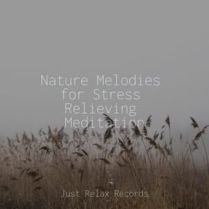 Nature Melodies for Stress Relieving Meditation - Schlaflieder Für Kinder