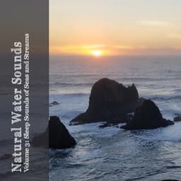 Natural Water Sounds Vol. 3: Sleep Sounds of Seas and Streams - The Relaxing Sounds of Water
