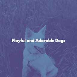 Playful and Adorable Dogs - Easy Listening Background Jazz