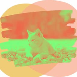 Resting Kittens - Pleasant - Cat Music Experience