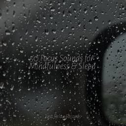 50 Focus Sounds for Mindfulness & Sleep - Mantra para Meditar