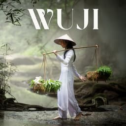 Wuji: The Infinite, Reiki Music, Stop Overthinking - Wonderful World Crew