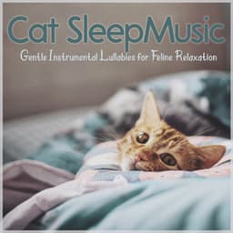 Cat Sleep Music: Gentle Instrumental Lullabies for Feline Relaxation - Cat Music Dreams