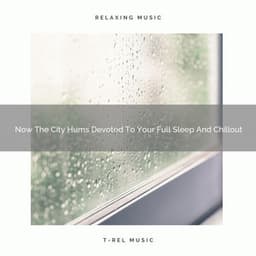 Now The City Hums Devoted To Your Full Sleep And Chillout - The White Noise Zen & Meditation Sound Lab