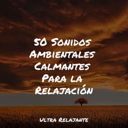 50 Sonidos Ambientales Calmantes Para la Relajación - Relajante