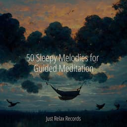 50 Sleepy Melodies for Guided Meditation - Soothing Sounds