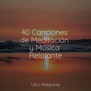40 Canciones de Meditación y Música Relajante - Zona Música Relaxante