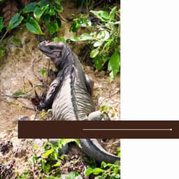 Fun - Calming Moments - Musica para Hoteles Bgm