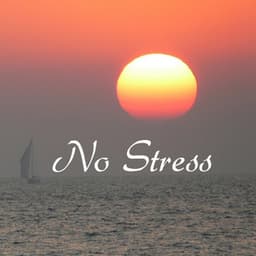 No Stress - Stress Relief Music - No Stress Ensemble