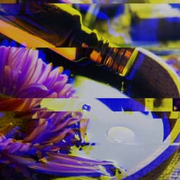 Joyful Guitar Jazz - Background for Fine Imagination - Coffee Shop Jazz Relax