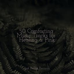 50 Comforting Music Tracks for Healing & Pink - Dog Music