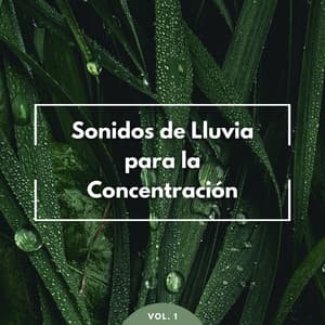 Sonidos De Lluvia Para La Concentración Vol. 1 - Ricky sonido de lluvia