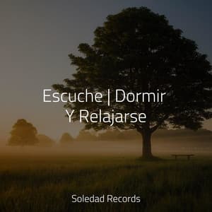 Escuche | Dormir Y Relajarse - Especialistas de Musica para Dormir