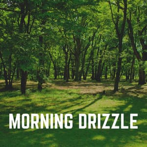 Morning Drizzle - Cricket Sounds