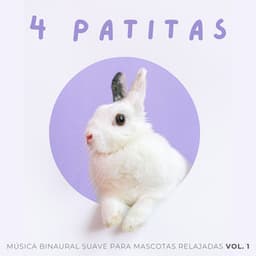 4 Patitas: Música Binaural Suave Para Mascotas Relajadas Vol. 1 - Binauralidades