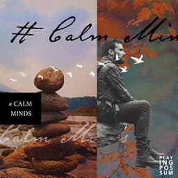 # Calm Minds - Playing Possum