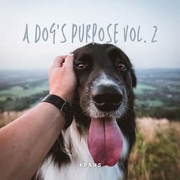 4Paws: A Dog's Purpose Vol. 2 - Dog Music
