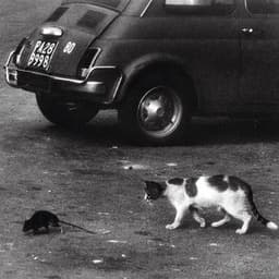 Palermo - Conway the Machine