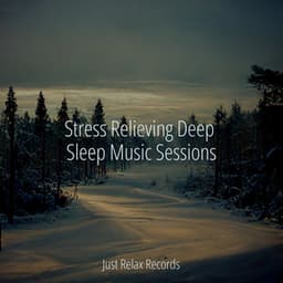Stress Relieving Deep Sleep Music Sessions - Instrumental