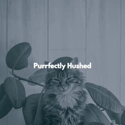 Purrfectly Hushed - Cat Music Relaxation
