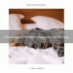 Interesting Wind Noises Especially For All Dogs - Dog Relax