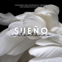 Sueño Instantáneo: Canciones para Entrenar el Cerebro para Dormir en un Minuto - Sueño Profundo